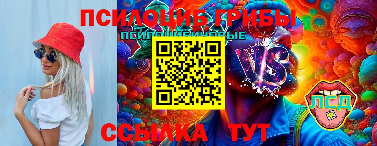 Псилоцибиновые грибы GOLDEN TEACHER  Псилоцибиновые грибы прущие грибы  купить закладку  Черкесск  Вход с VPN 