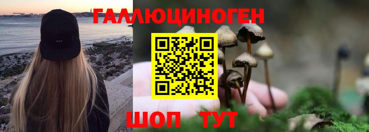 Галлюциногенные грибы прущие грибы Черкесск